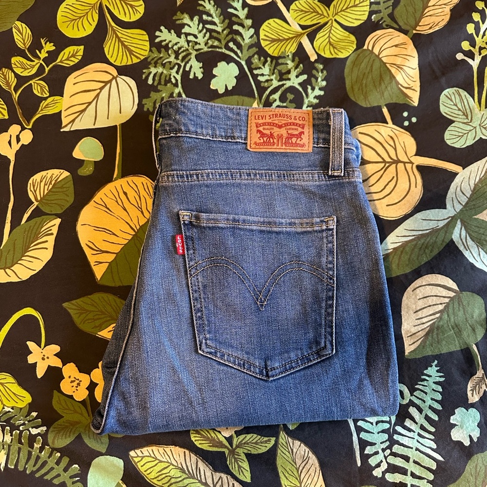 Levi's Blue Jeans